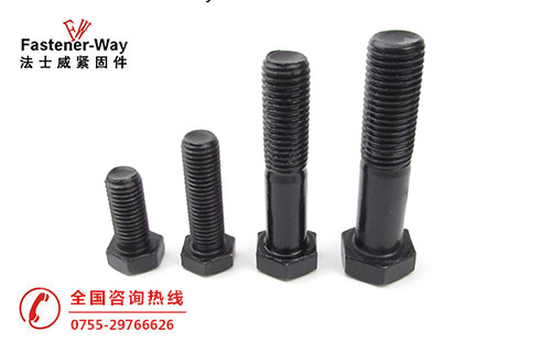 500-313.jpg 500-313.jpg