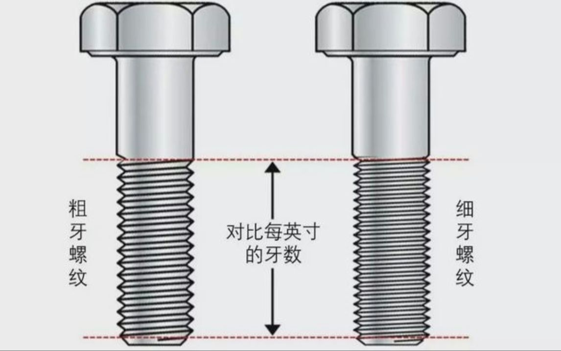 1735789860462 1735789860462